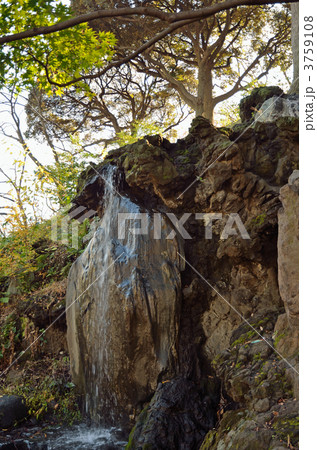 横浜散歩・掃部山公園 3759108