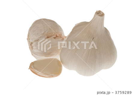 国産にんにく 3759289