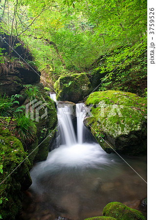 奥多摩海沢渓谷 奥多摩海沢渓谷 3759526
