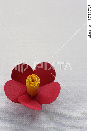椿(ペーパークラフト) 椿(ペーパークラフト) 3759732