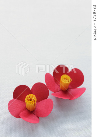 椿（ペーパークラフト） 3759733