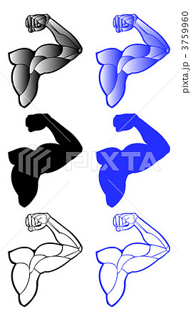 腕 筋肉 上腕三頭筋のイラスト素材