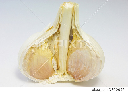 にんにく 3760092