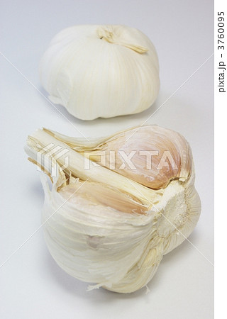 生ニンニク 3760095