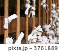 おみくじ 3761889
