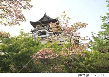 犬山城 犬山城 3762349