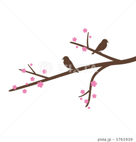 小鳥がとまる桜の木のイラスト素材