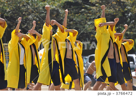 体育祭 体育祭 3766472