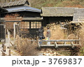 鶴の湯　秘湯 3769837