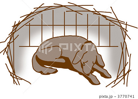動物愛護センターでお迎えを待つ犬のイラスト素材