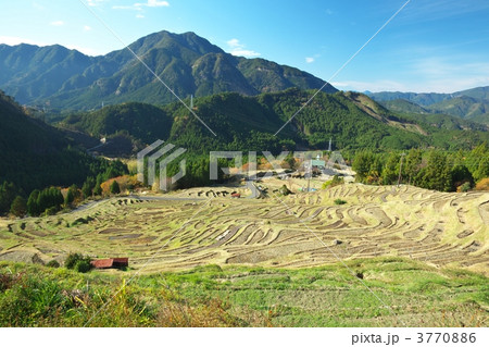 丸山千枚田 3770886