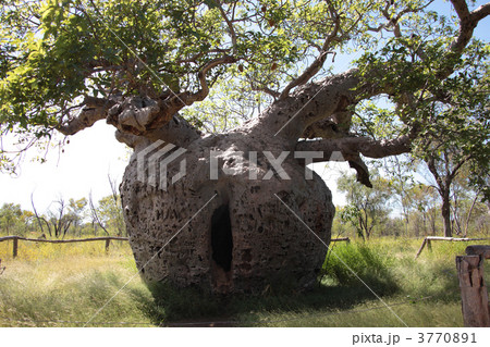 プリズン・バオブ プリズン・バオブ 3770891