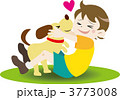 男の子とじゃれる犬 3773008