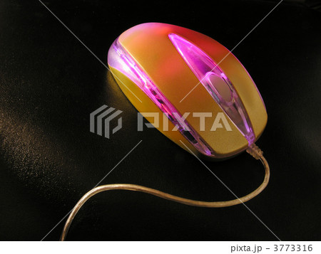 mouse on dark mouse on dark 3773316