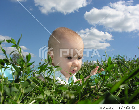 baby in herb and sky 3773545