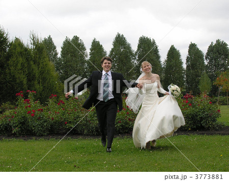 bride and groom running from trees 3773881