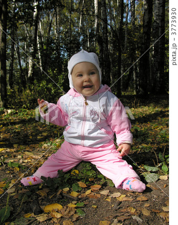 baby on stump in autumn wood 3773930