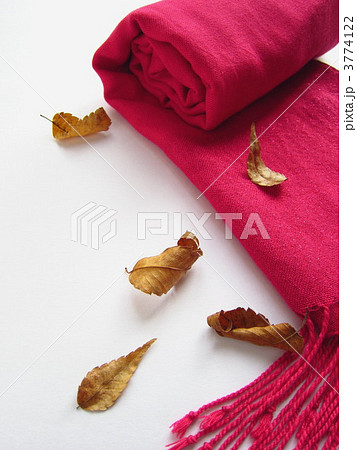 落ち葉とストール (秋冬のイメージ) 落ち葉とストール (秋冬のイメージ) 3774122