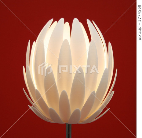 floor lamp flower floor lamp flower 3774569