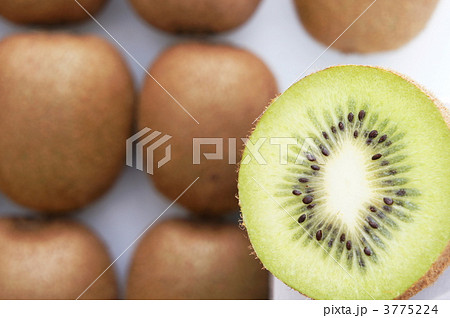 キウイフルーツ 3775224