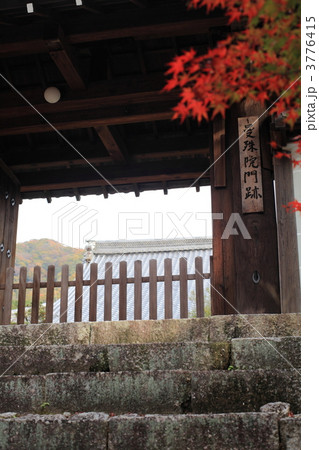 曼殊院門跡の秋 3776415