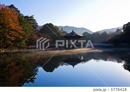 奈良公園の浮見堂 奈良公園の浮見堂 3776428