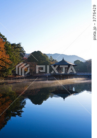 奈良公園の浮見堂 奈良公園の浮見堂 3776429