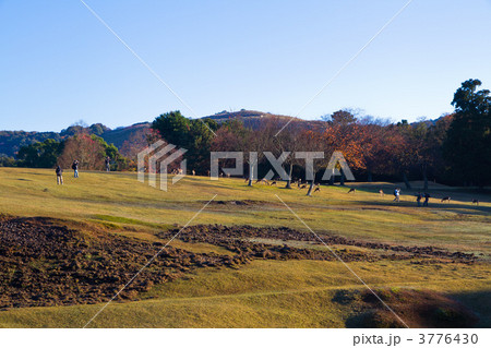 奈良公園 奈良公園 3776430