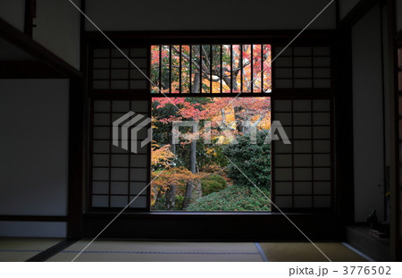 源光庵の秋 源光庵の秋 3776502