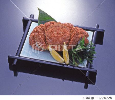 毛がに 3776720
