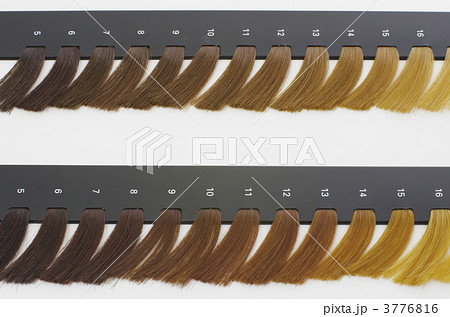 美容室のカラーチャートの写真素材 [3776816] - PIXTA