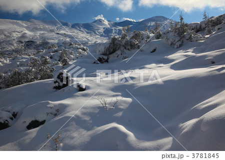 新雪の積もった望岳台 3781845