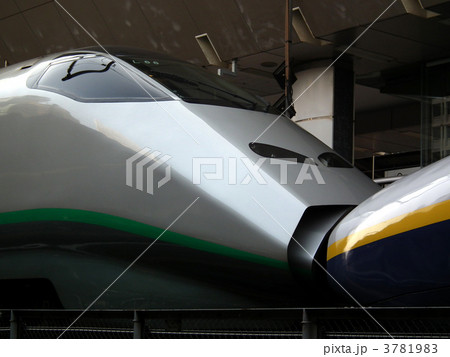 東北上越新幹線　E3系+E4系　東京駅 3781983