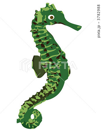 タツノオトシゴのイラストのイラスト素材 379