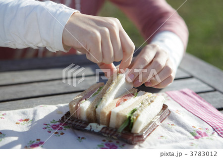 サンドイッチ 3783012
