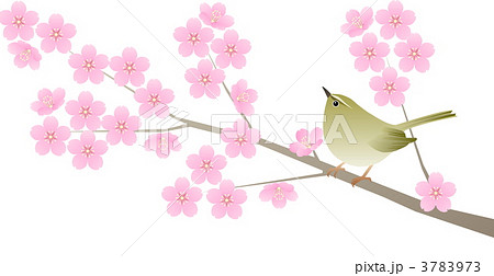 桜に鶯のイラスト素材