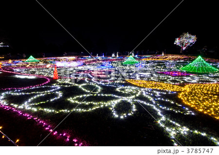 Winter Vista Illumination 2011(グラウンドイルミネーション) 3785747