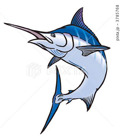 クロカジキ 3785768