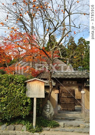 京都嵯峨野 落柿舎 モミジと柿 京都嵯峨野 落柿舎 モミジと柿 3785916
