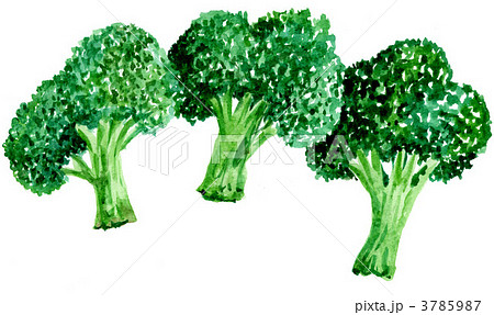 broccoli111217pix 3785987
