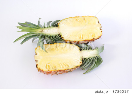 石垣島の島パイン 3786017