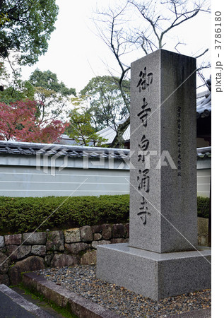 泉涌寺の石柱 3786180