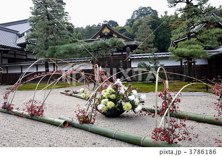 泉涌寺、本坊の前庭と生け花 3786186