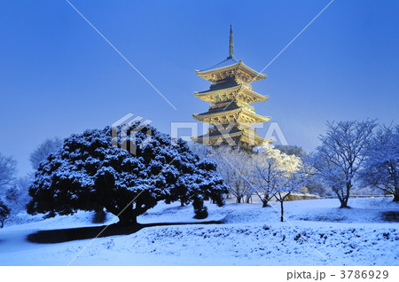 雪と光の五重塔 雪と光の五重塔 3786929