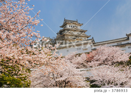 姫路城と桜 3786933