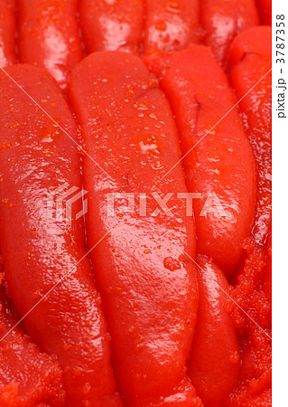 辛子明太子 3787358