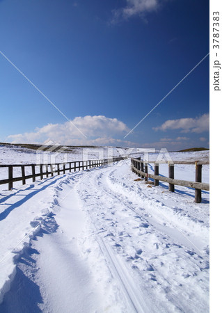 冬の美ヶ原高原 雪道の写真素材