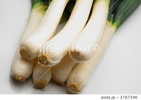 下仁田ねぎ 3787396