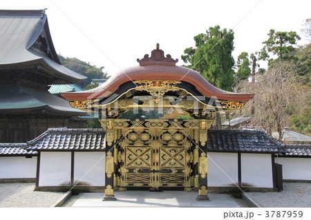 建長寺の「唐門」 建長寺の「唐門」 3787959