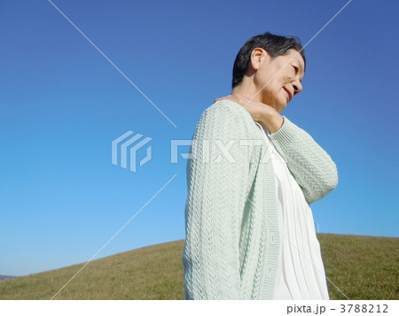 肩がこってるシニア女性 肩がこってるシニア女性 3788212